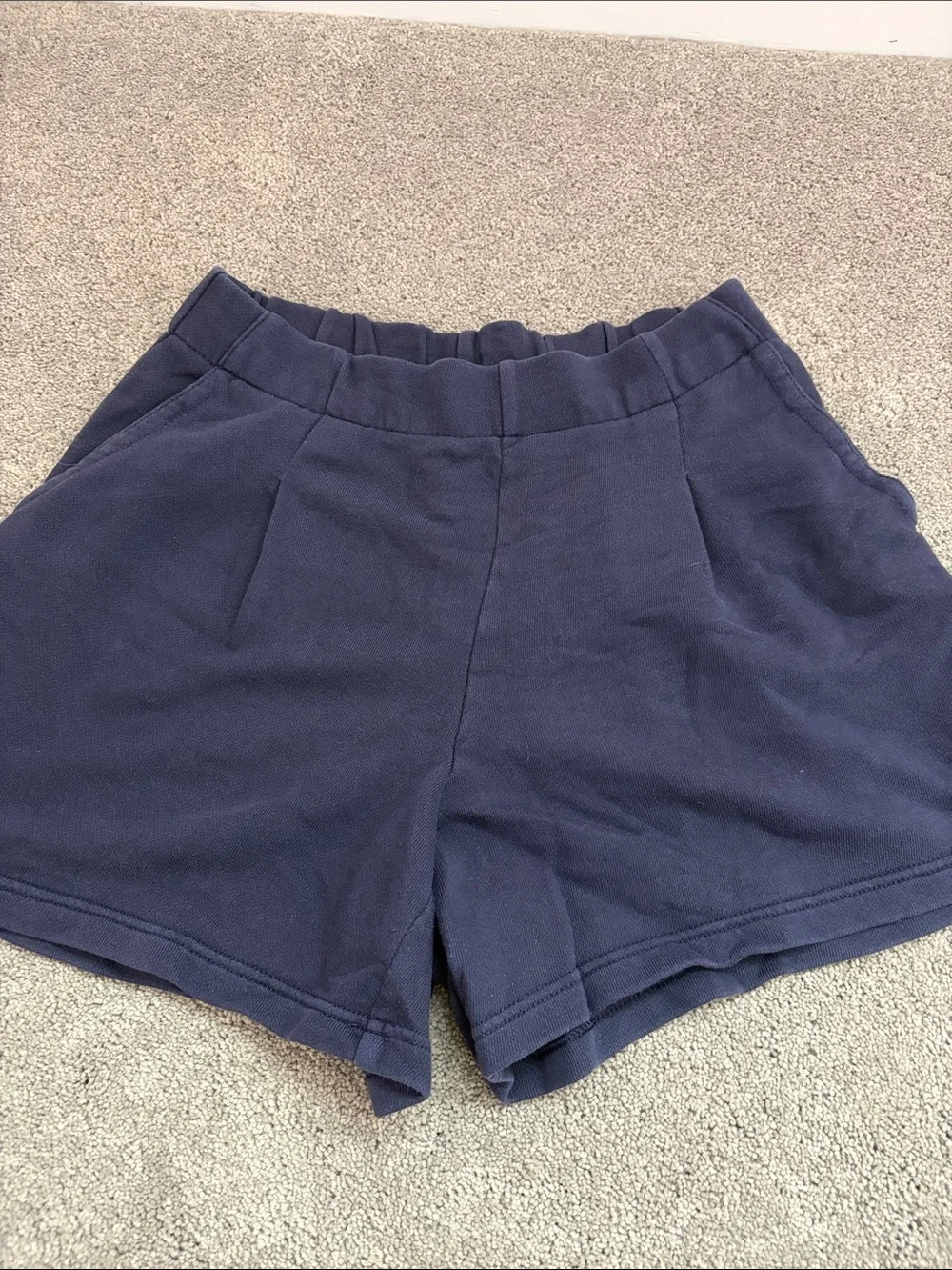 Aerie Navy Blue Shorts